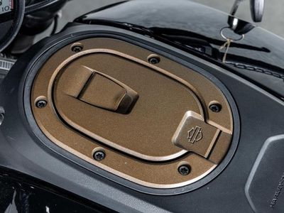 2021 Harley-Davidson RH1250S - Sportster S - Photo 22