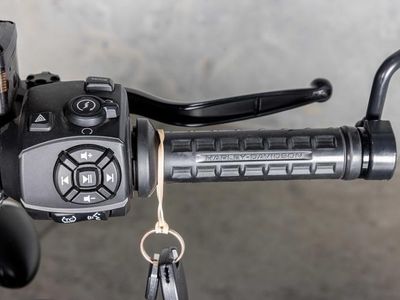 2021 Harley-Davidson RH1250S - Sportster S - Photo 20