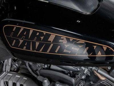 2021 Harley-Davidson RH1250S - Sportster S - Photo 23
