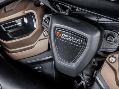 2021 Harley-Davidson RH1250S - Sportster S - Photo 6