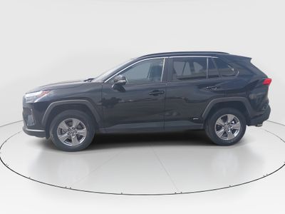 2024 Toyota RAV4 - Photo 4