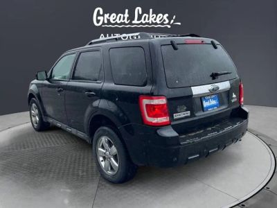 2009 Ford Escape — rear three-quarter view