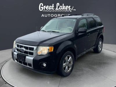 2009 Ford Escape Limited in Black Clearcoat — front three-quarter view
