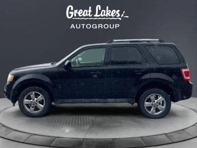 2009 Ford Escape — side profile view