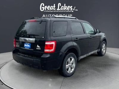 2009 Ford Escape — detail view