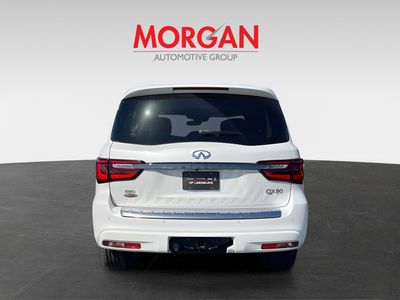 2024 INFINITI QX80 - Photo 6