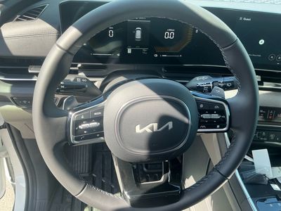 2026 Kia Carnival Hybrid — photo 14 view