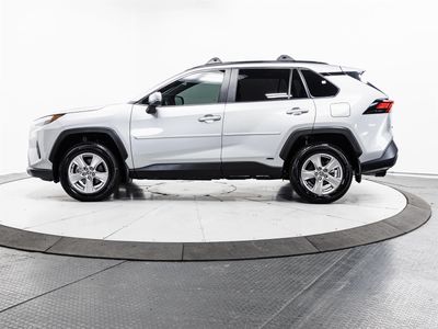 2024 Toyota RAV4 Hybrid - Photo 7