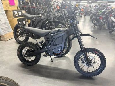 2025 E-RIDE PRO E-RIDE PRO MINI — front three-quarter view
