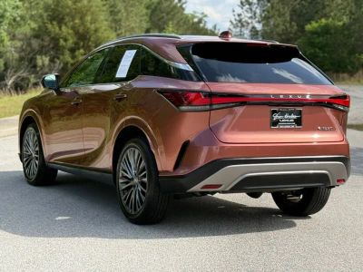 2024 Lexus RX - Photo 9