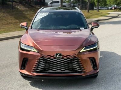 2024 Lexus RX - Photo 6