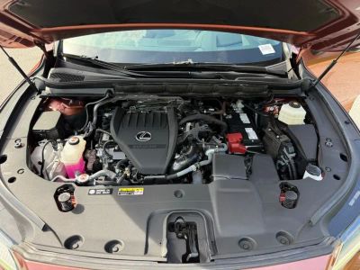 2024 Lexus RX - Photo 16