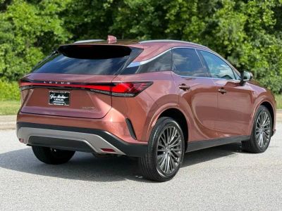 2024 Lexus RX - Photo 11