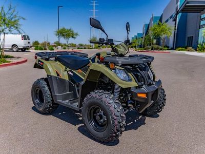 2025 Kayo Bull 300 EFI - Photo 2