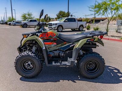 2025 Kayo Bull 300 EFI - Photo 6