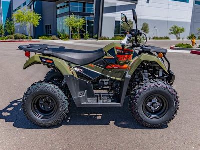 2025 Kayo Bull 300 EFI - Photo 3