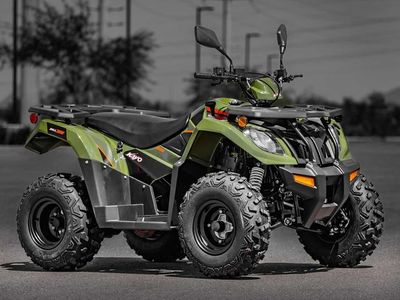 2025 Kayo Bull 300 EFI - Photo 1