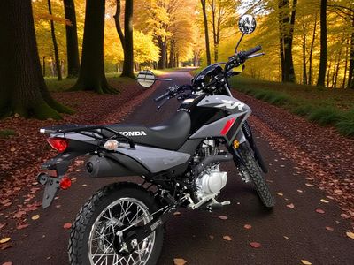 2025 Honda XR150L - Photo 2