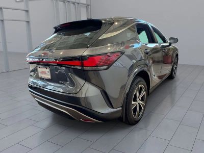 2024 Lexus RX — detail view
