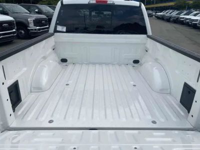 2025 Ford F-150 - Photo 8