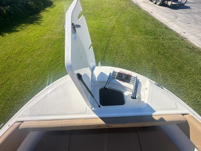 2025 Sea Ray WHT 300 VDO - Photo 5