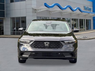 2026 Honda Accord Hybrid — photo 8 view