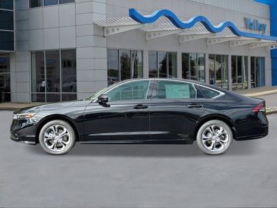 2026 Honda Accord Hybrid — side profile view