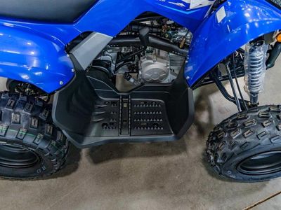 2026 Yamaha Raptor 110 - Photo 6