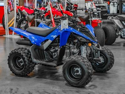 2026 Yamaha Raptor 110 - Photo 1
