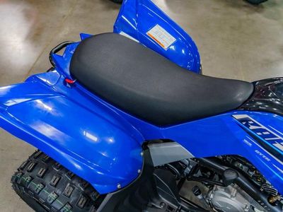 2026 Yamaha Raptor 110 - Photo 5