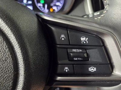 2024 Subaru Ascent — photo 19 view