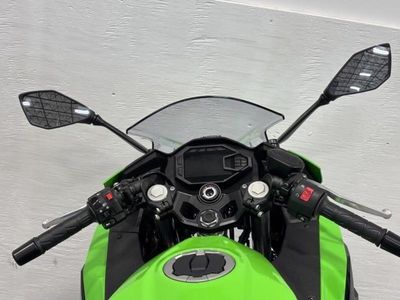 2026 Kawasaki Ninja 500 SE ABS - Photo 19