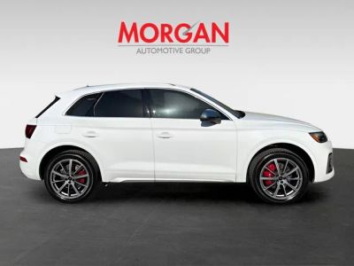 2025 Audi SQ5 — side profile view