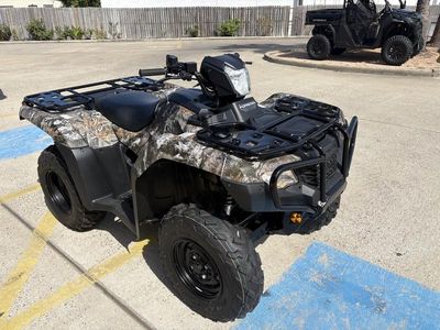 2025 Honda FourTrax Foreman 4x4 EPS TrueTimber Atera Camo - Photo 1