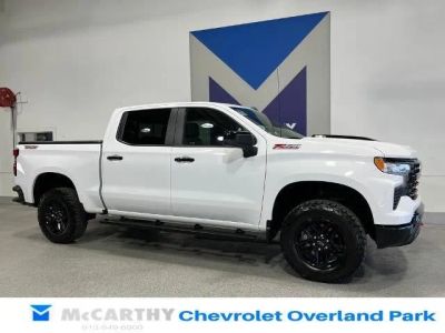 2024 Chevrolet Silverado 1500 - Photo 3