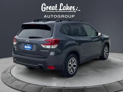 2024 Subaru Forester — detail view