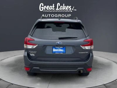 2024 Subaru Forester — interior view