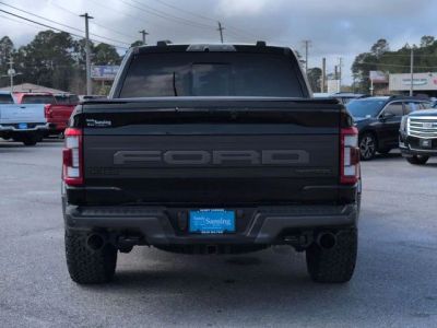 2023 Ford F-150 — interior view