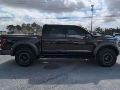 2023 Ford F-150 — engine compartment view