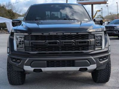 2023 Ford F-150 — photo 8 view