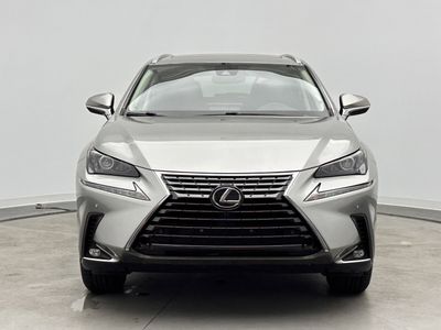 2019 Lexus NX - Photo 2