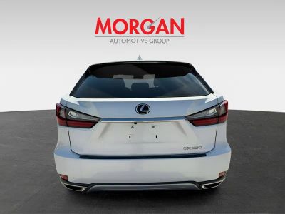 2022 Lexus RX — detail view
