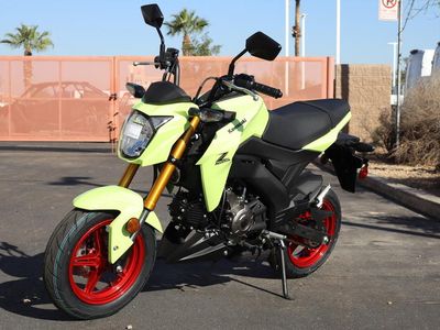 2026 Kawasaki Z125 PRO - Photo 1