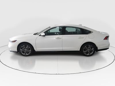 2023 Honda Accord Sedan - Photo 4