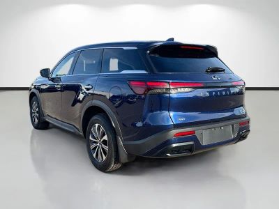2023 INFINITI QX60 — detail view