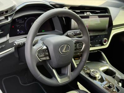 2024 Lexus RZ - Photo 15