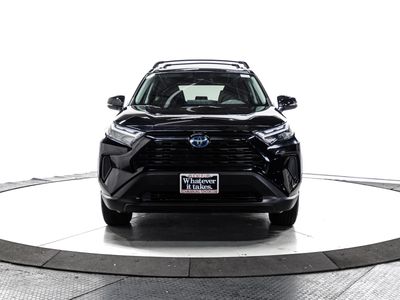 2024 Toyota RAV4 Hybrid - Photo 2