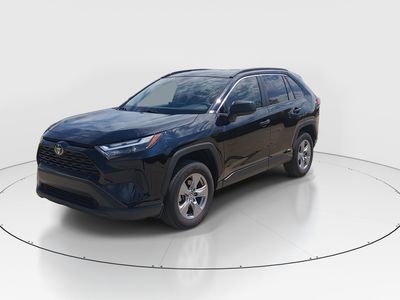 2025 Toyota RAV4 - Photo 3