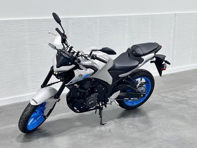 2025 Yamaha MT-03 - Photo 3