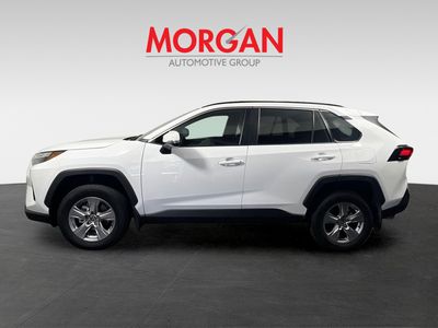 2025 Toyota RAV4 - Photo 6